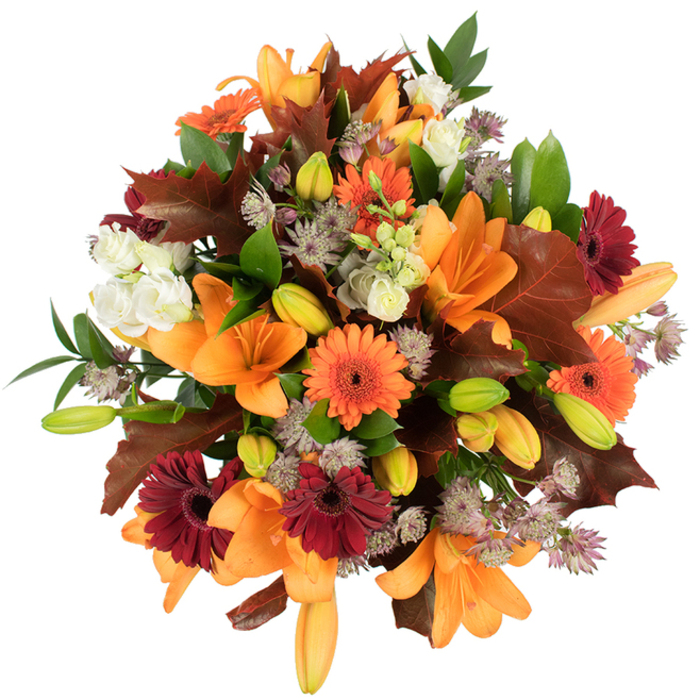 Seen from a slightly elevated angle against a spotless white backdrop, this lush autumn bouquet reads like a small harvest festival in flower form-rich, tactile, and intentionally arranged. Dominant orange Asiatic lilies open their broad, trumpet-like petals to reveal smooth, satiny interiors, surrounded by many compact lily buds that give the composition depth and anticipation. Bright orange and deep burgundy Gerbera daisies punctuate the mass of blooms with cheerful, almost sunburst-like heads, their dark centres grounding the palette. Creamy white lisianthus with softly ruffled petals provide gentle lightness, while delicate Astrantia in muted purples adds a filigree of starry texture that invites a closer look. Interspersed are substantial lobed leaves in reddish-brown tones that echo fallen oak and maple, artfully arranged to suggest the turning canopy of Addington Park or the warm tones of the village in autumn. Glossy green foliage and slender stems weave through the bouquet, keeping it fresh and structured; the tight, rounded form feels abundant and carefully balanced. As a local florist I picture delivering this arrangement from Addington Flowers to a nearby home or community table-perfect for Thanksgiving or as a seasonal gift-and I can almost hear the soft rustle of leaves and smell the mild, earthy perfume of the stems. The bright, controlled studio lighting emphasizes colour saturation and crisp detail, making this bouquet a confident celebration of autumn's textures and hues.