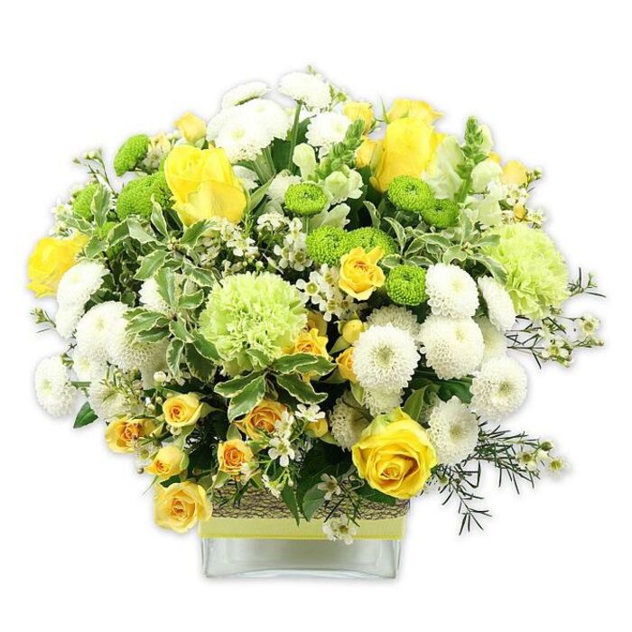 In this image, a carefully sculpted floral arrangement in rich yellows, sparkling whites, and vivid greens rises generously from a low, rectangular glass vase, the clean white background allowing every stem and petal to be clearly seen. The bouquet follows a rounded, slightly domed profile, crafted so that no single bloom dominates, but warm yellow roses do draw the eye first, their velvety petals opening in layered swirls. Clusters of tiny yellow spray roses are threaded throughout, deepening the palette from pale lemon to deeper golden tones, much like sunlight shifting over Addington's residential streets during a bright afternoon. Intermingled with the roses are compact white pompom chrysanthemums, spherical and densely petalled, which lend structure and a soothing, cloud-like softness to the design. Around these sit crisp lime green button chrysanthemums, their small globe-shaped heads offering a playful contrast of form and colour. Larger, gently ruffled pale green flowers-resembling green carnations or specialty mums-add volume and a cool, contemporary freshness. The bouquet is richly padded with foliage: broad leaves edged in creamy white, deep green glossy leaves, and slender, more delicate greenery that extends just beyond the outline of the blooms, creating a soft halo. Tiny white filler flowers, perhaps waxflower or similar, are scattered through the arrangement like stars, lighting up the darker pockets of greenery. The glass vase is wrapped around its middle with rustic, woven material, perhaps raffia or jute, providing a tactile contrast to the smooth glass. Over this, a slim ribbon in a bright, lime-tinged green is tied horizontally, echoing the energetic green tones of the flowers. The result feels joyful yet elegant, perfect on a dining table for a family celebration in Addington, or delivered as a thoughtful centerpiece to mark a promotion, a new baby, or any moment that calls for a natural symbol of happiness and vitality.